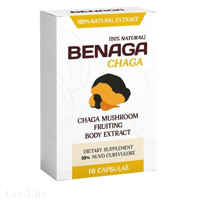 Benaga Chaga