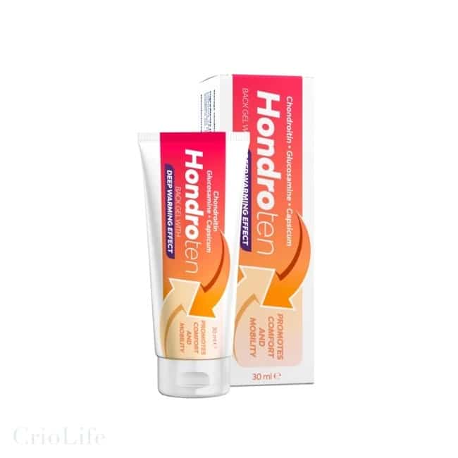 Hondroten