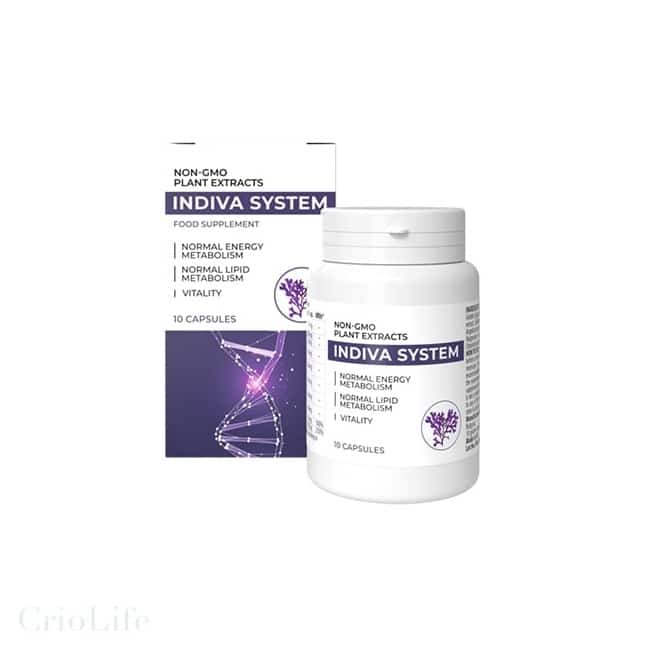 InDiva System