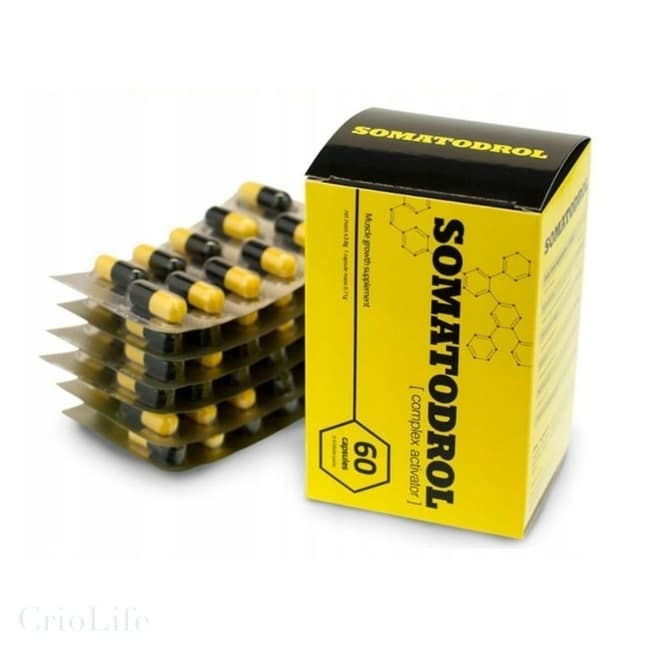 Somatodrol