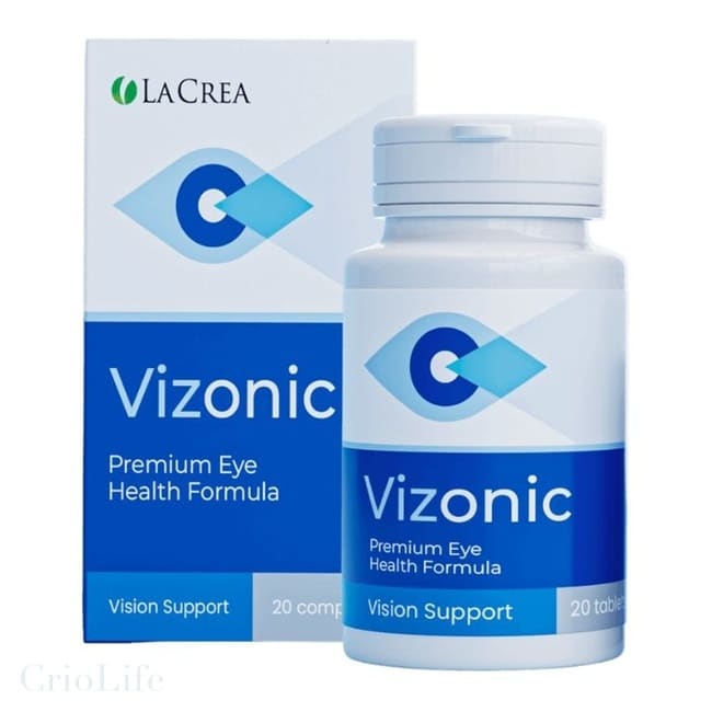 Vizonic